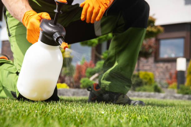 Best Bed Bug Extermination  in Dundee, FL